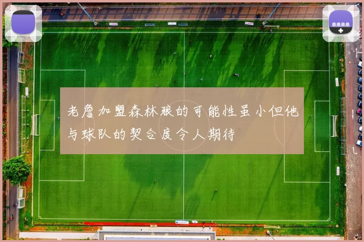 老詹加盟森林狼的可能性虽小但他与球队的契合度令人期待